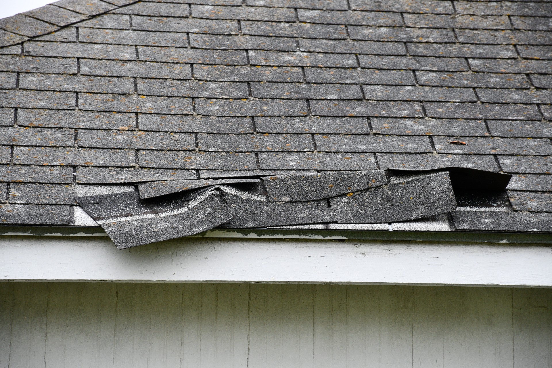 Signs You Need Asphalt Shingle Roof Service