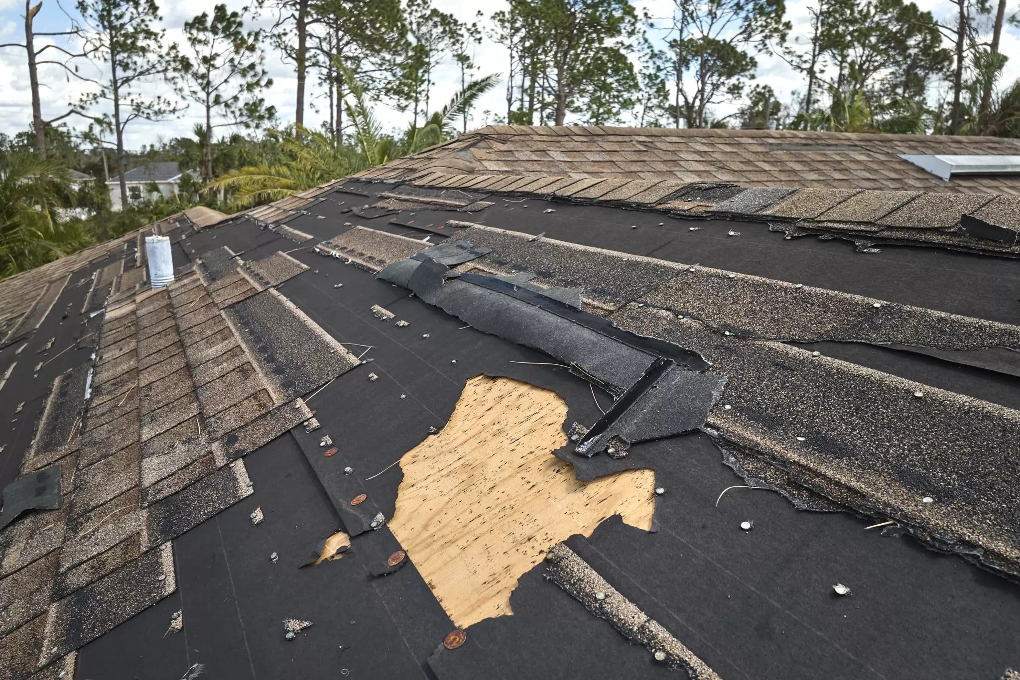 What to Do After Wind Damage Roof