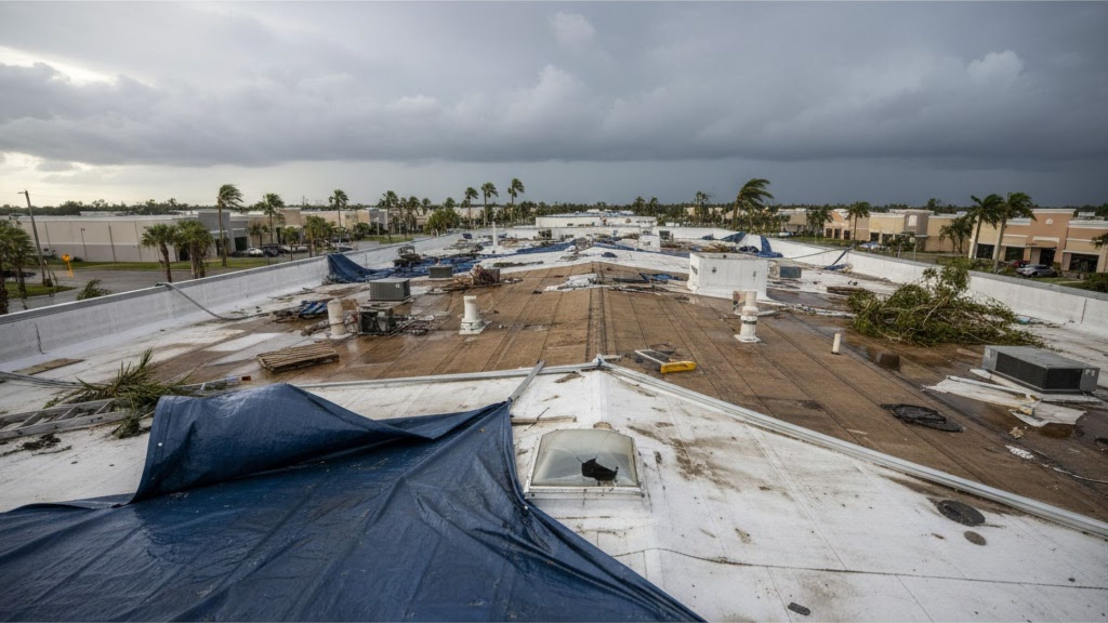 Commercial Roof Wind Damage in Albuquerque
