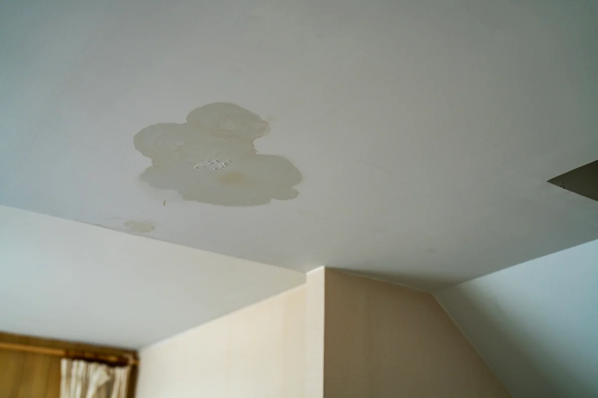 Water stain on a ceiling from (1)