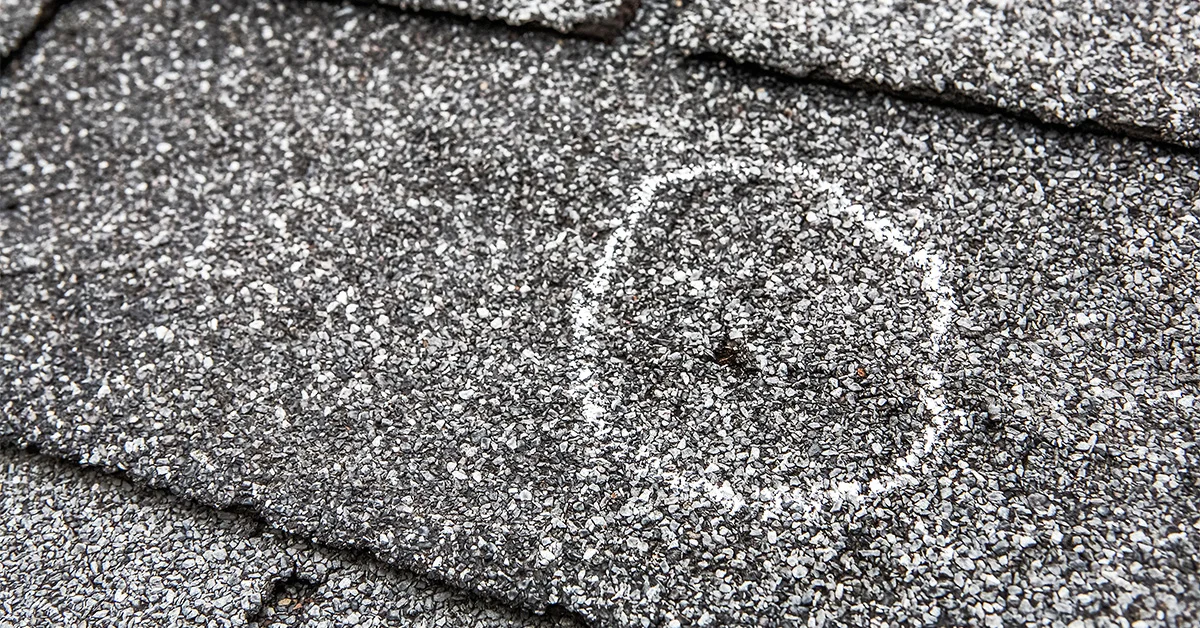hail-damaged asphalt shingles close-up
